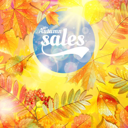 Autumn sale fall yellow leaves nature background. のイラスト素材