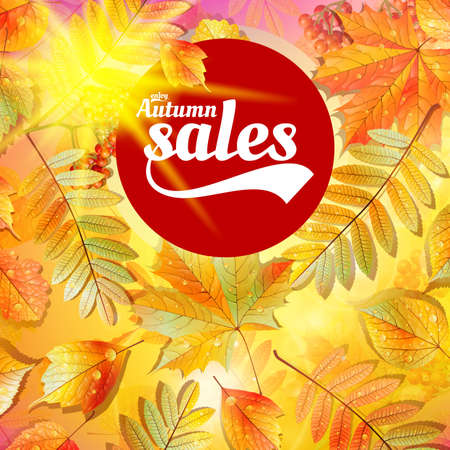 Autumn sale fall yellow leaves nature background. のイラスト素材