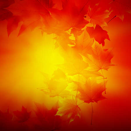Delicate autumn sun with glare on gold sky.のイラスト素材