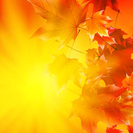 Delicate autumn sun with glare on gold sky.のイラスト素材