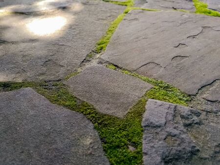 Stone floor, Stone Wall From A Large Granite Cobblestone Close-Up. Growing green moss between the...