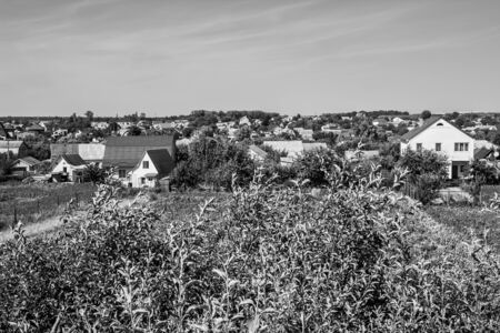 Black and white photographs, countryside view, grapes, leaves, flowerpotの写真素材