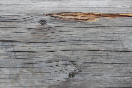 Wooden logs close-up, log in the grass. Wooden table and bench in the forest. Wood as background and textureの写真素材