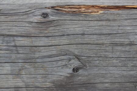 Wooden logs close-up, log in the grass. Wooden table and bench in the forest. Wood as background and textureの写真素材
