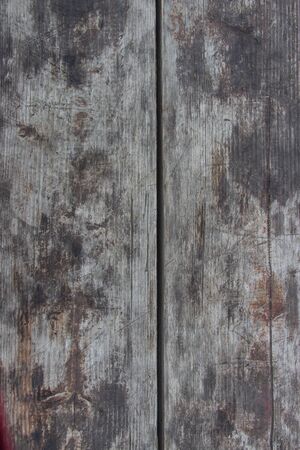 Wooden logs close-up, log in the grass. Wooden table and bench in the forest. Wood as background and textureの写真素材