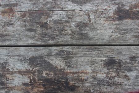 Wooden logs close-up, log in the grass. Wooden table and bench in the forest. Wood as background and textureの写真素材