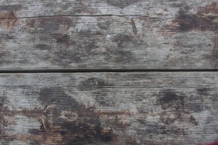 Wooden logs close-up, log in the grass. Wooden table and bench in the forest. Wood as background and textureの写真素材