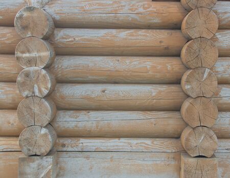 Wooden logs close-up, log in the grass. Wooden table and bench in the forest. Wood as background and textureの写真素材