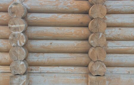 Wooden logs close-up, log in the grass. Wooden table and bench in the forest. Wood as background and textureの写真素材