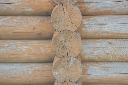 Wooden logs close-up, log in the grass. Wooden table and bench in the forest. Wood as background and textureの写真素材