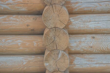 Wooden logs close-up, log in the grass. Wooden table and bench in the forest. Wood as background and textureの写真素材