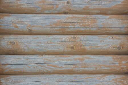 Wooden logs close-up, log in the grass. Wooden table and bench in the forest. Wood as background and textureの写真素材