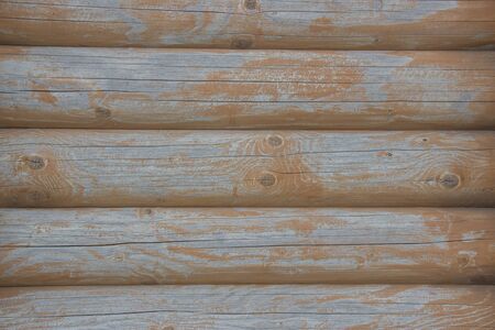 Wooden logs close-up, log in the grass. Wooden table and bench in the forest. Wood as background and textureの写真素材