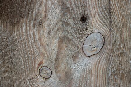 Wood coating in macro shot. Tree close up. A wooden board in macro shot. Background like texture
の写真素材