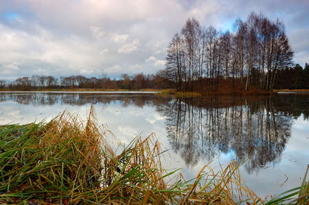 the island with birches on the autumn lakeの写真素材