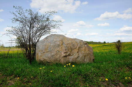 big boulder on a green field under the spring skyの写真素材