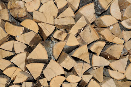firewood which is accurately put in a shed