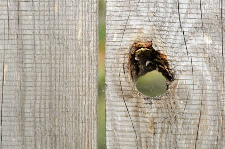 wooden texture of old dry vertical boards for an abstraktony backgroundの写真素材