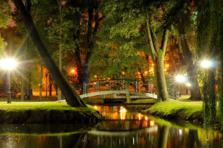 bridge through a stream in the evening park in the autumn in the light of streetlightの写真素材