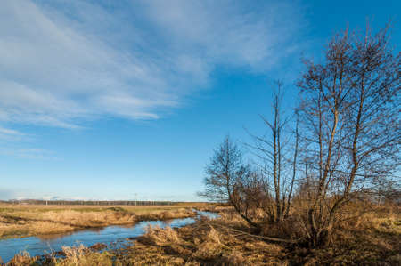 autumn landscape. the narrow marshy river in the field with trees in the foreground under the blue skyの写真素材