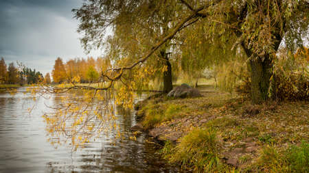 autumn landscape. the coast of the city water channel, the river, a stream with trees. cloudy weatherの写真素材