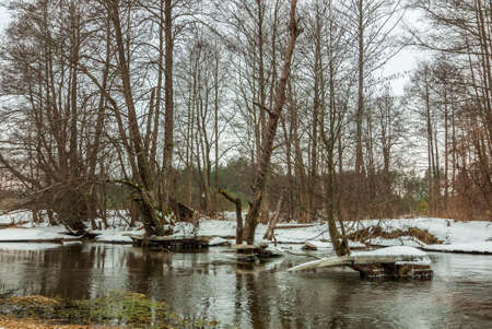 Beautiful scenic winter landscape. A forest river with snowy shores and ice blocks. Early February thawの写真素材