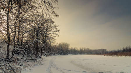 beautiful winter landscape. Frozen snowy river with coastal trees, shrubs and reeds in the warm light of sunsetの写真素材