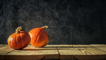 wo ripe orange pumpkins on rough boards with ends against a background of black concrete textured plaster in semi-darkness. artistic picture with copy spaceの写真素材