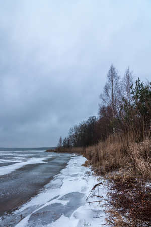 harsh winter landscape. The coastline of a frozen lake with bare trees, a dry reed and the edge of uneven ice in bad dull weather on a cloudy day. Naroch Belarusの写真素材