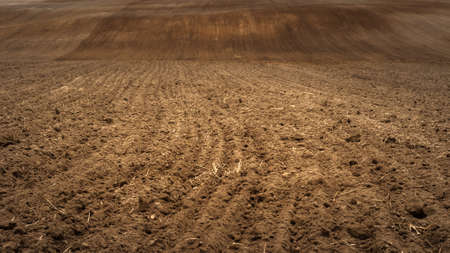 arable land with rows of furrows. autumn or spring hilly cultivated agricultural field. Artistic image for stylish creative presentationの写真素材