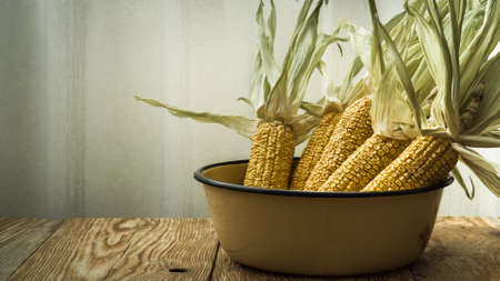 dry cobs of sweet corn with husks lie in a yellow metal bowl on rough boards against the backdrop of...