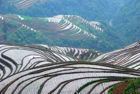 Guilin longji terracesの写真素材
