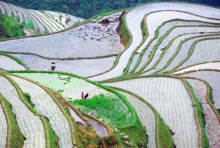 Guilin longji terracesのeditorial素材