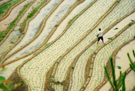 Guilin longji terracesの写真素材