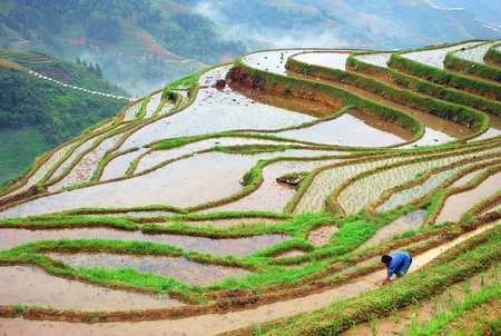 Guilin longji terracesのeditorial素材