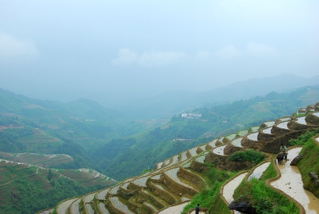 Magnificent dragon Ridge terraceのeditorial素材