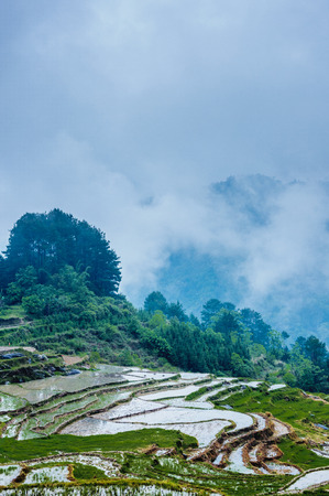 Terrace sceneryの写真素材