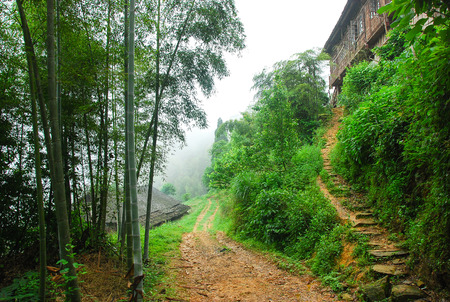 The countryside scenery in the mistのeditorial素材