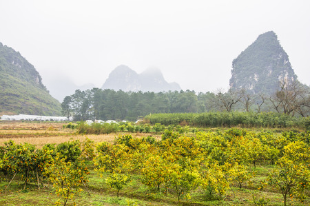 Mountains and countryside scenery in the mist