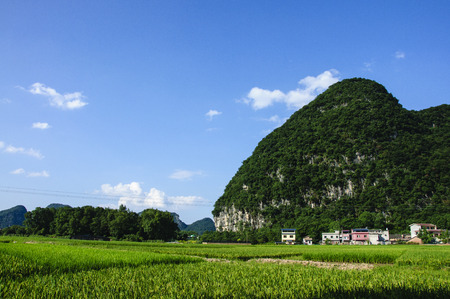 Karst mountains and rural scenery in summerの素材 [FY31092409649]