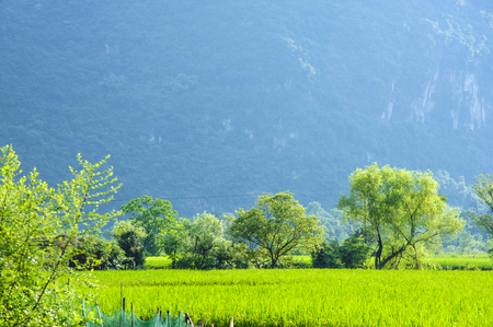 Karst mountains and rural scenery in summerの写真素材