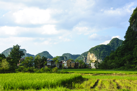 Karst mountains and rural scenery in summerの写真素材