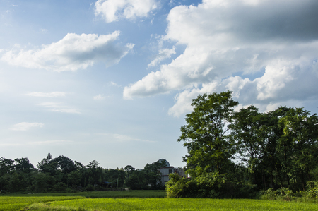 Karst mountains and rural scenery in summerの写真素材