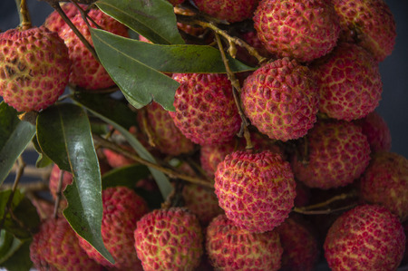 Litchi Fruitsの写真素材