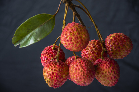Litchi Fruitsの写真素材