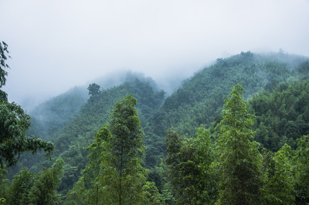 Mountains scenery in the mistの写真素材