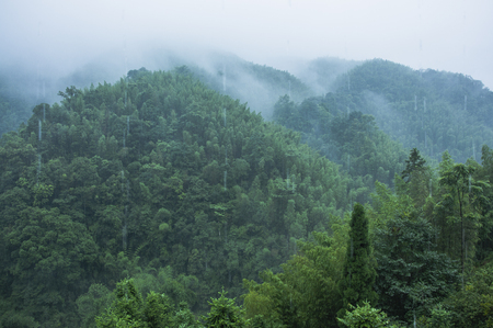 Mountains scenery in the mistの写真素材