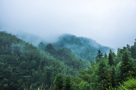 Mountains scenery in the mistの写真素材