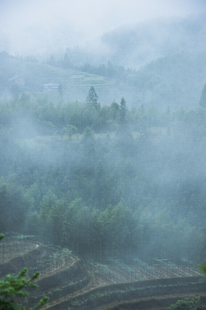 Mountains scenery in the mistの写真素材
