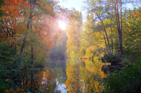 Streaks of sunlight shinning through the trees in an autumn lakeの写真素材